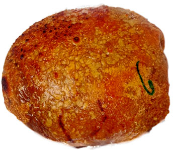 Cojín de lechona para 30 porciones